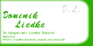 dominik liedke business card